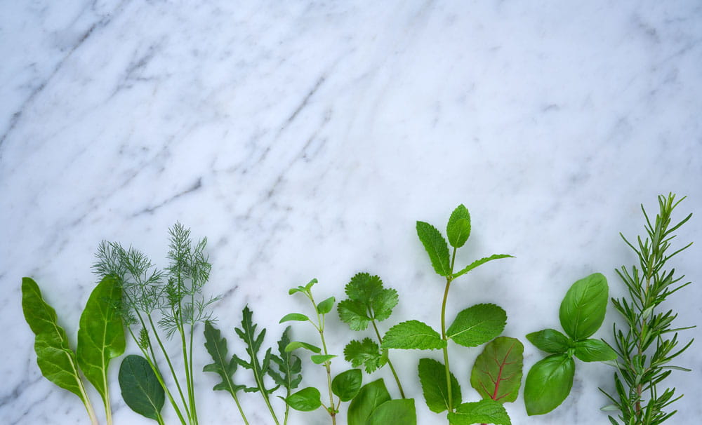 Frische Kräuter auf einem marmorierten Tisch, darunter Dill, Spinat, Rucola, Minze, Koriander, Basilikum und Rosmarin.