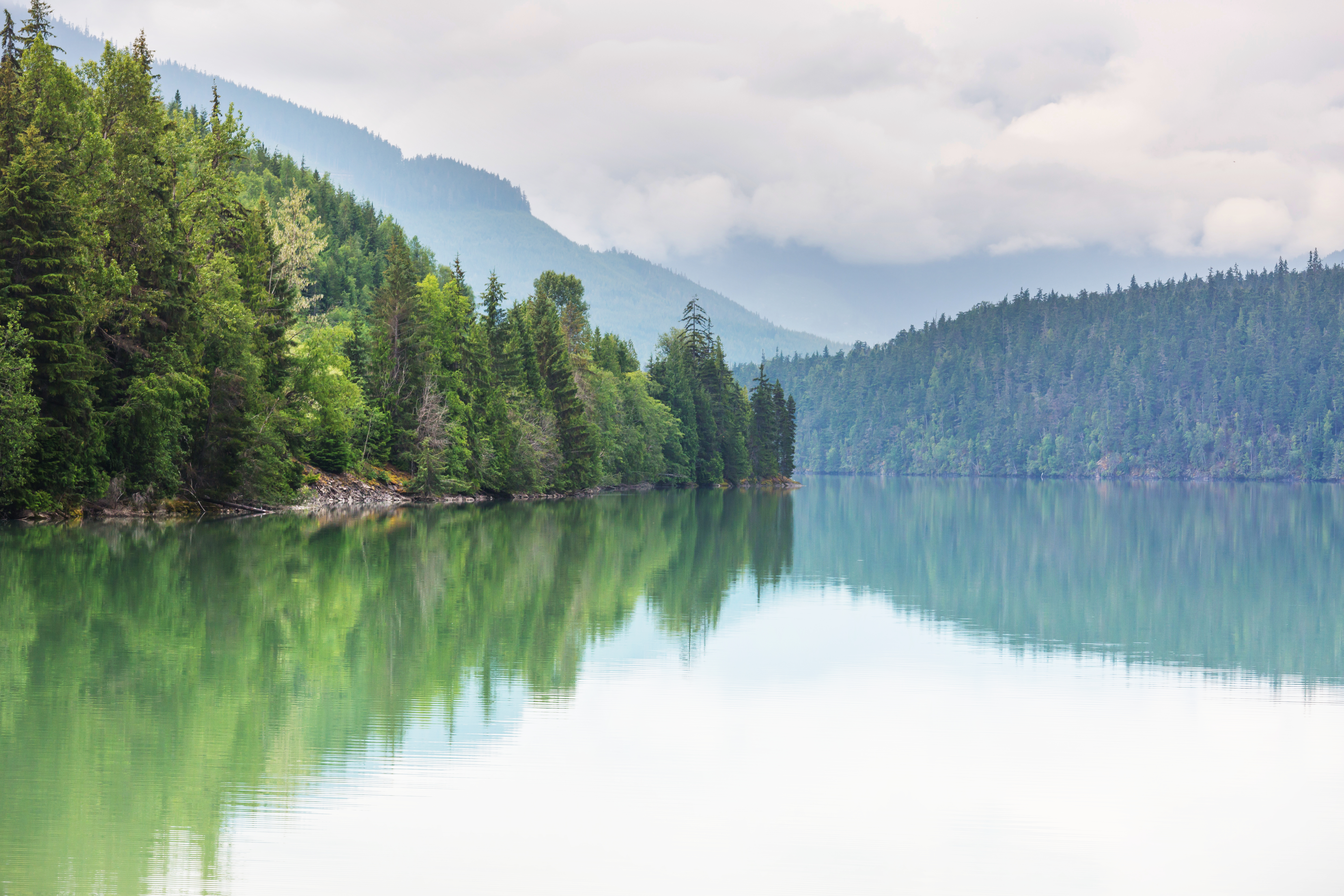 Naturpanorama mit Wald spiegelt sich im Bergsee